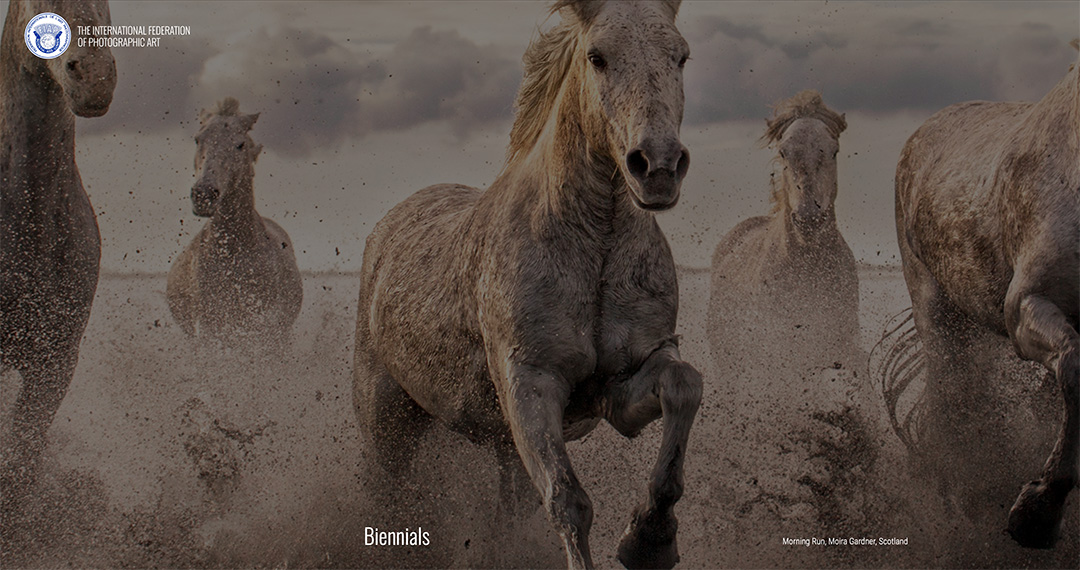 Biennaalit 2023 tulokset